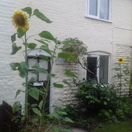 Mauds Cottage 1 West Raynham Bagian luar foto